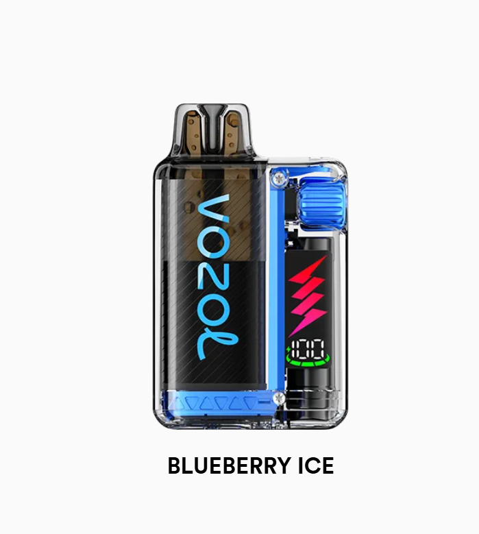 Vozol Vista Plug 10000 Blueberry ice