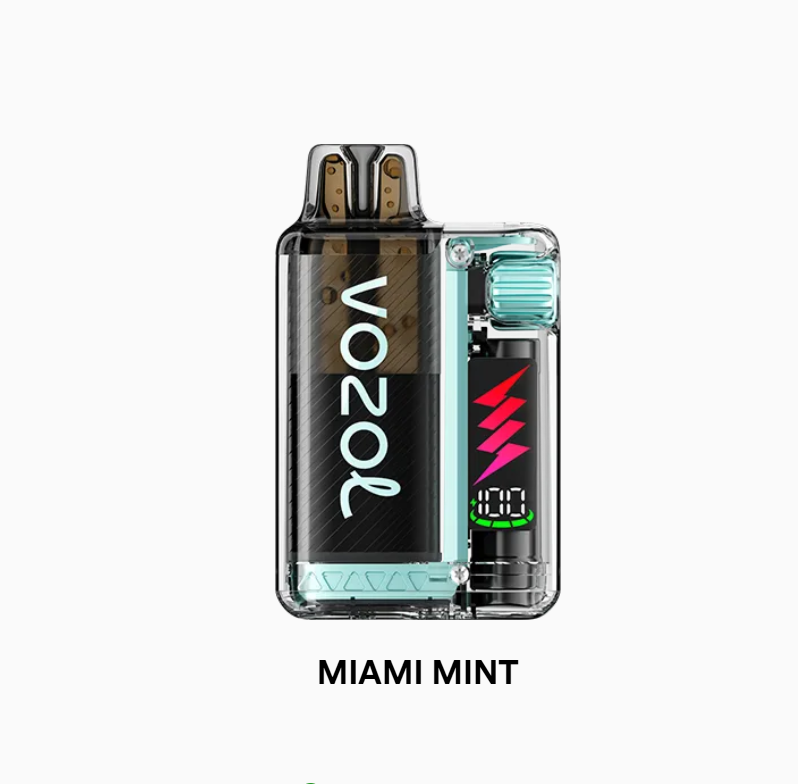 Vozol Vista Plug 10000 Miami Mint