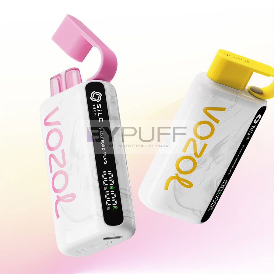 Vozol 12000 Peach Mango Watermelon